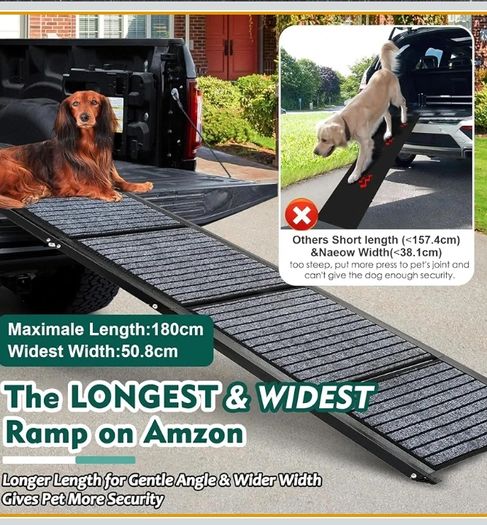 Folding dogs ramp