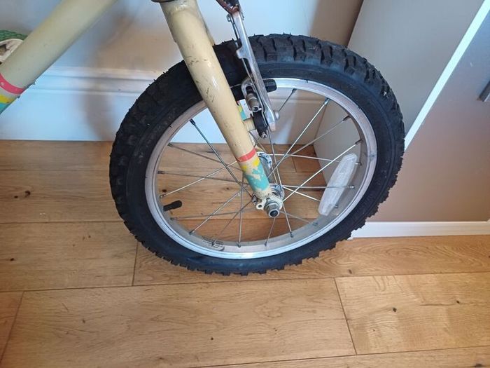 KIds Raleigh Bike