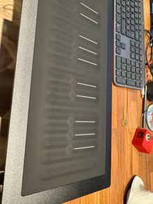 Roli Seaboard Rise 49 (MK1)