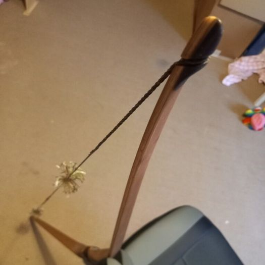 Traditional Recurve and Hybrid Bows
