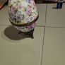 Egg trinket box Image 6