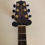 Takamine Image 3
