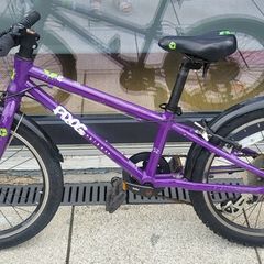 Frog bike 52