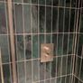 Shower Handset Image 3