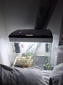 fish tank