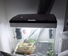 fish tank