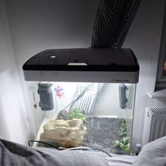 fish tank