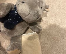 hot bean teddy