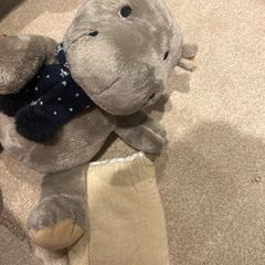 hot bean teddy