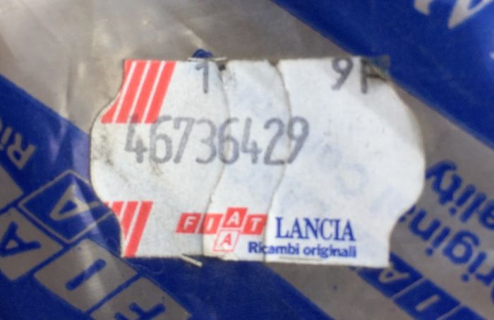LH Front Door Rubber (Fiat Punto 176)
