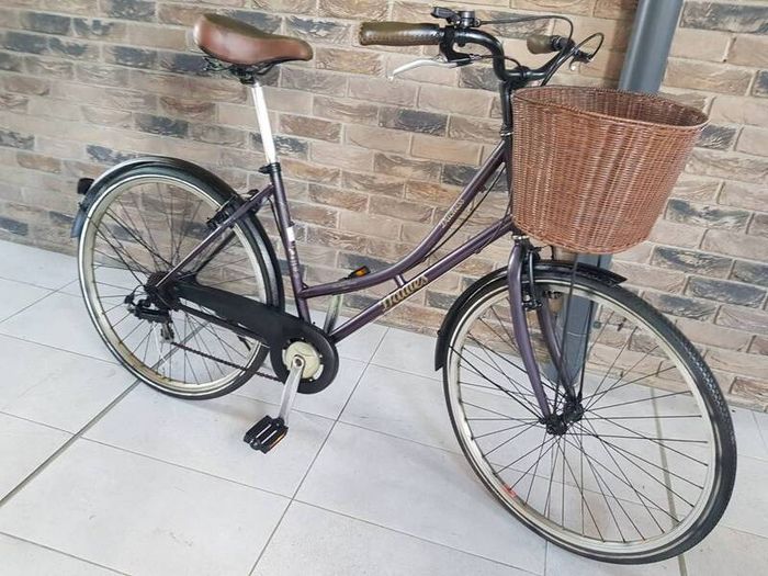 ladies bike( can deliver)