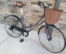 ladies bike( can deliver)