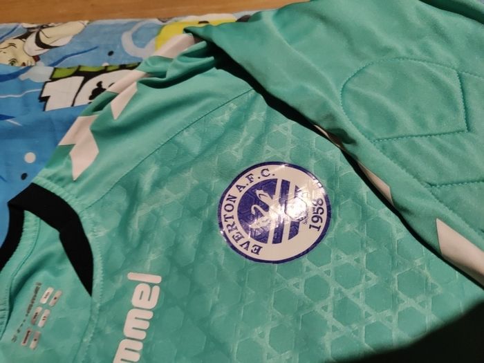 hummel  shirt