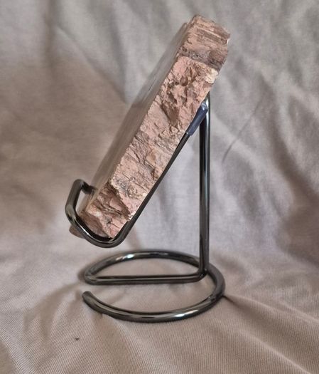 Fossilized wood, Madagascar, Triassic period. With metal display stand.