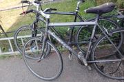 two mountain bikes