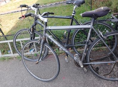 two mountain bikes