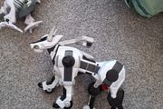 Robots