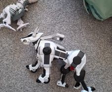 Robots