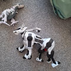 Robots
