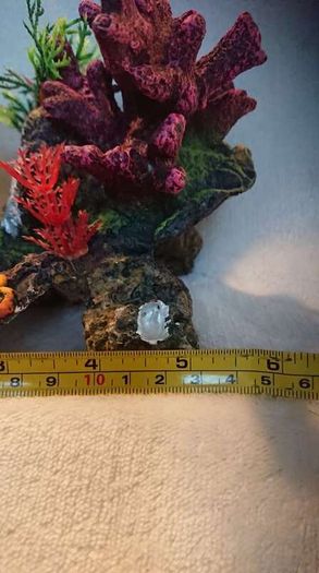 Coral Rock for aquarium