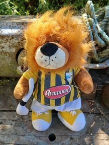 Kilkenny cat teddy