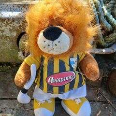 Kilkenny cat teddy