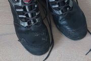 Steel Safety Shoes