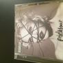 Madonna CD  for sale brand new Image 2