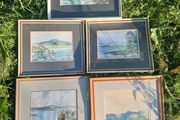 Watercolour paintings (5)
