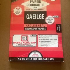 Leaving Cert Irish Exam Papers