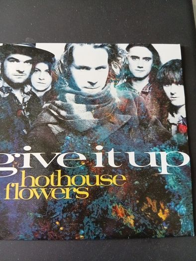 Bundle Of 20  X  7" Vinyl Singles ( All Irish Rock /indie)