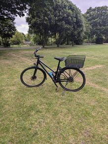 Bike Trek L500