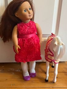 Our generation dolls bundle