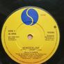 MADONNA / Borderline - 7 Inch Single / Vinyl Record Image 5