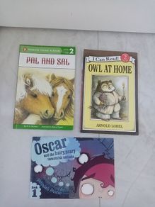 Young reader books