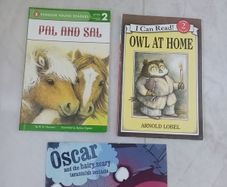 Young reader books