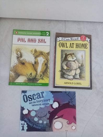 Young reader books