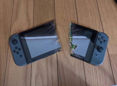 Nintendo Switch Original Repair Parts