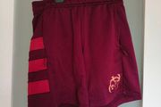 Burgundy Munster Rugby performance training shorts