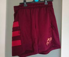 Burgundy Munster Rugby performance training shorts