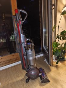 Dyson Ball Animal