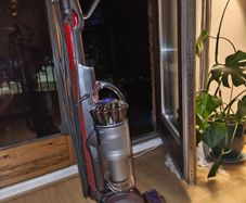 Dyson Ball Animal