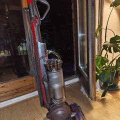 Dyson Ball Animal