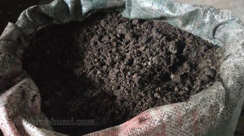 Biochar and wood ash