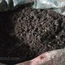 Biochar and wood ash Image 2