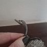 ring holder swan Image 2