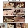 1971 Apollo 14 & 15 Official NASA Colour Photos (X20) Image 3