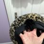 girls faux fur leopard print Image 3