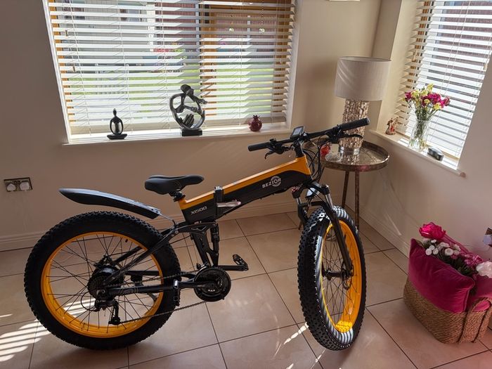 folding electric bike