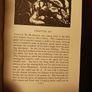 The Crock of Gold / James  Stephens/ 1986 / Collier Books/ USA Image 7